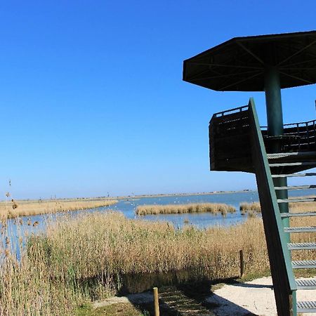 Quet - Casa Rural Con Piscina Privada En El Delta Del Ebro - Deltavacaciones Deltebre Exterior photo
